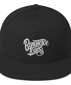 Alternative view of Banana Joe Tours Flat Bill Cap